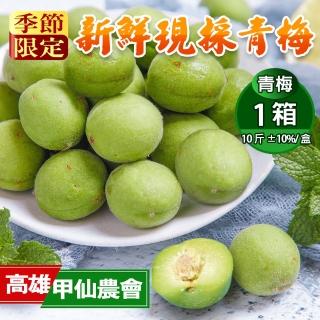 高雄甲仙有機青梅10斤x1箱
