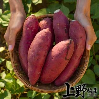 【上野物產】日光栗香地瓜 x10包(300g±10%/包 素食 低卡 港點 港式點心)