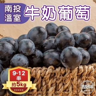 【吉好味-中秋禮盒】南投溫室牛奶葡萄5kg(約9〜12串-G002)