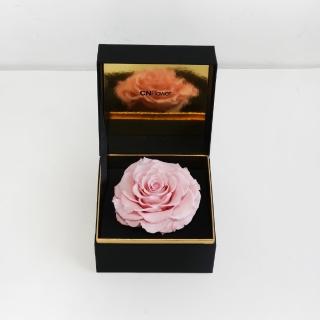 【CNFlower 西恩】唯一 恆星花禮-粉(送禮/買花/恆星花/花禮/永生花)