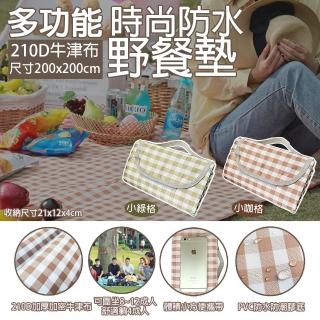 【TAS極限運動】露營專用多功能 防水200X200 野餐墊(露營野餐布 沙灘墊 草地墊 戶外帳篷墊 防水防潮)