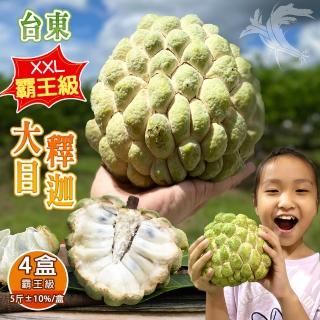 【禾鴻】台東頂級XXL霸王級大目釋迦5斤4-5顆含箱重x4盒(水果界的綠寶石)