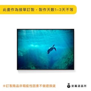 【菠蘿選畫所】海洋世界－海龜-50x70cm(海龜/客廳佈置/家居佈置/臥室背景/海洋掛畫/複製畫)