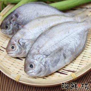 【海鮮主義】布袋鮮撈肉質魚2包(480g±10%/包 約5-6尾/包)