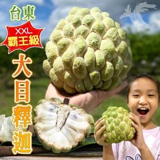 【禾鴻】台東頂級XXL霸王級大目釋迦10斤7-9顆含箱重x2箱(水果界的綠寶石)