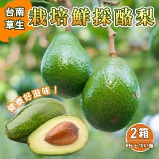 【產地直送】台南草生栽培鮮採酪梨6斤6-8顆x2箱(金氏世界紀錄最營養水果-酪梨)