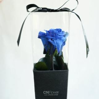 【CNFlower 西恩】藍玫瑰 恆星花單錐禮盒(送禮/買花/恆星花/花禮)