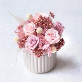 【花意空間】經典恆星盆花 - 粉色(永生花 生日 情人 花禮)
