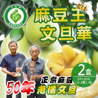 【麻豆王 文旦華】正宗麻豆50年老欉文旦x2箱(5斤±10%/約6-8顆/箱)