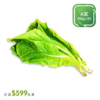 【菜霸子】任選-滿599元出貨(A菜 250g /袋 廠商直送)