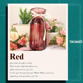 【TROMSO】巴黎香榭卡麗娜花器-C02(花器花瓶)