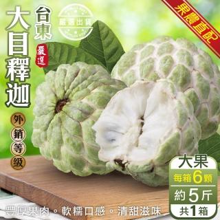 【果農直配x外銷等級】台東大目釋迦(6顆裝/約5斤)