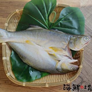 【海鮮主義】鮮味滿滿午仔魚蝴蝶開10包(200g±10%/包)