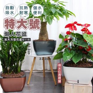 【fioJa 費歐家】園藝植作 G115-加大方型集水花盆 仿金屬(園藝植作懶人花盆 集水 花盆 雙層設計)