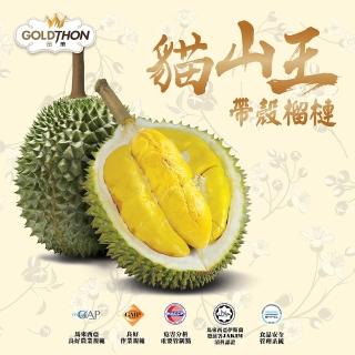 【Gold Thon】馬來西亞液態氮貓山王帶殼榴槤A果1.8~2.3KG*1顆(液態氮帶殼貓山王禮盒裝)