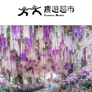 【台南大坑休閒農場】歐式別墅一館雙人房(平日住宿券)