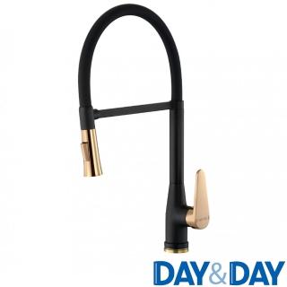 【DAY&DAY】霧黑工業風PVD花灑檯面龍頭