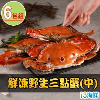 【愛上海鮮】鮮凍野生中三點蟹6包(350g±10%/2隻/組)