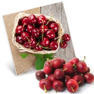 【甜露露】空運智利XJ/9.5R櫻桃1.5kg/盒(水果禮盒 年節禮盒 過年送禮)