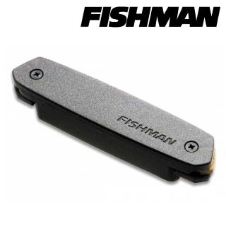 【FISHMAN】響孔式 木吉他拾音器 單線圈 被動式 PRO-NEO-D01 吉他收音(原廠代理商公司貨)