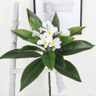 【JEN】仿真花材雞蛋花一支
