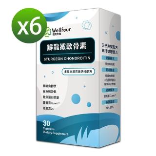 【Wellfour 衛芙生醫】鱘龍鯊軟骨素關鍵靈活6盒組(鱘龍魚膠原)