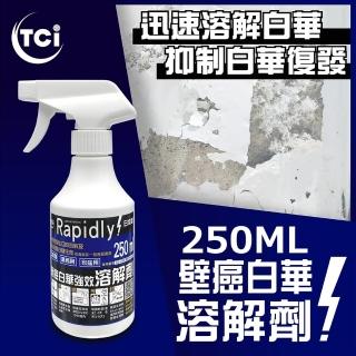 【十田塗料】日本壁癌白華溶解劑250ML x2入(去白華 噴劑 滲透 抑制 溶解 有效 熱賣)