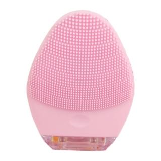 【防水洗臉神器】USB清潔保養兩用洗臉機(洗臉儀 潔面儀 美容儀 臉部按摩 粉刺清潔 毛孔清潔 超聲波震動)