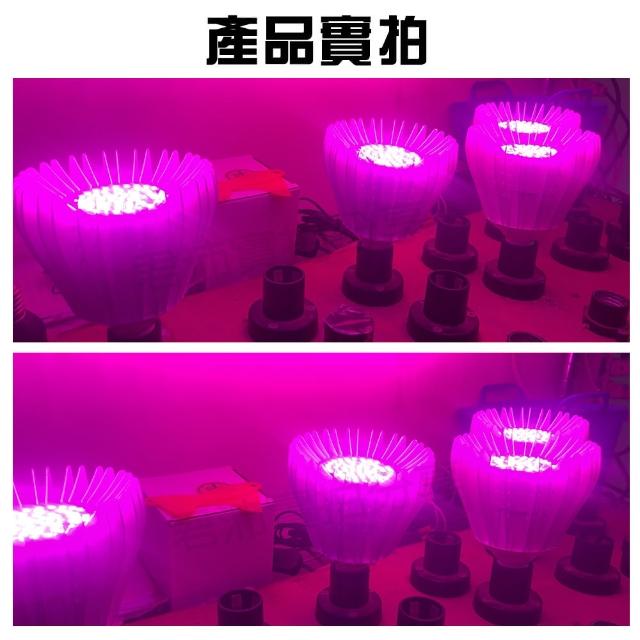 【JIUNPEY 君沛】40W 紅藍光譜E27植物燈泡 軌道式(植物生長燈)