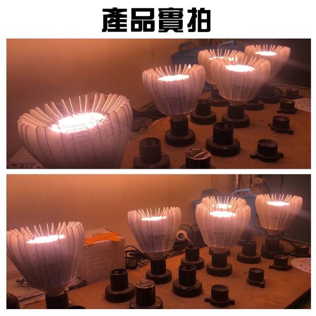 【JIUNPEY 君沛】君沛 植物燈系列 燈泡式 40瓦 E27 植物燈泡 加強型全光譜 全電壓(植物燈)