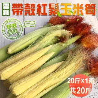 【禾鴻】新鮮自然帶殼紅鬚玉米筍20斤x1箱(常溫配送)