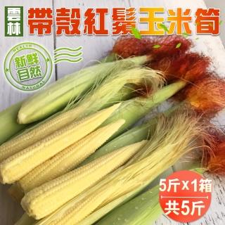 【禾鴻】新鮮自然帶殼紅鬚玉米筍5斤x1箱(常溫配送)