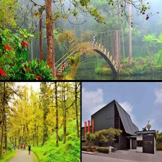 【LION TRAVEL 雄獅旅遊】南投-溪頭自然教育園區全票(贈遊山茶訪禮盒4入&導覽)