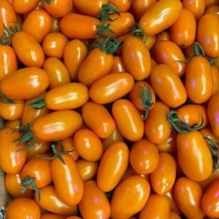 【WANG 蔬果】台灣嚴選橙蜜香番茄5斤x2箱(共10斤_果農直配)