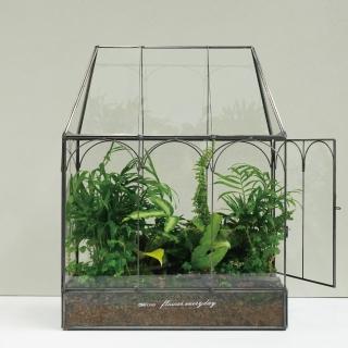 【CNFlower 西恩】免運專人專車配送限台北市 綠色滿屋 觀葉植物(送禮/植栽/植物/觀葉植物/多肉)