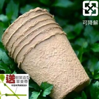 【Ainmax 艾買氏】2入 圓形紙漿育苗杯盆 可自然腐化 融盆免脫盆透氣佳(買就送環保小草束帶)