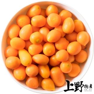 【上野物產】比利時進口 法式胡蘿蔔球 x18包(500g±10%/包  素食)