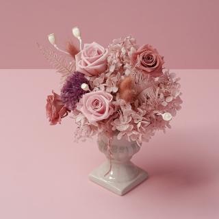 【花意空間】古典恆星盆花-粉色(永生花 生日 情人 花禮)
