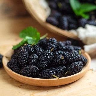【YONGLIN SELECT 永齡選物】紫鑽鮮凍桑葚3kg±5%/盒(共3包)