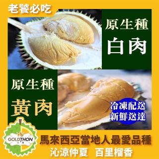 【Gold Thon】馬來西亞砂勞越原生種榴槤果肉盒裝400公克*2(榴槤/榴蓮/榴槤冰/馬來西亞榴連)