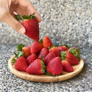 【馥果FruitGo】紐西蘭Dazzle蘋果 進口原箱70粒/18kg(Dazzle)