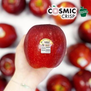 【FruitGo 馥果】美國宇宙脆特大蘋果320g/顆*14顆#56規(水果禮盒_大箱直送)