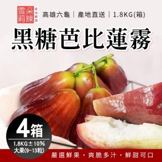 【雪莉朵辣嚴選】黑糖芭比蓮霧 x4箱(大果-1.8kg±10%/盒/約9-13粒)