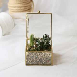 【Flower Plus】-雙北限定- 小藏寶箱 多肉植物療愈盆栽(多肉)