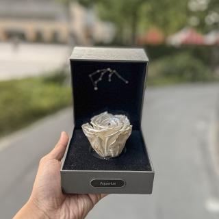 【Flower Plus】Aquarius水瓶座 單層永生花星座禮盒(永生花)