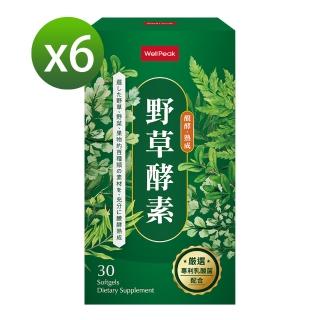 【Wellpeak】野草酵素6盒即期出清組(停產斷貨 到期日20230218)