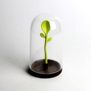 【QUALY】嫩芽出土-置物罐