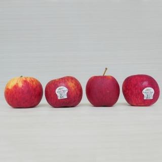 【馥果FruitGo】澳洲肚臍丁 禮盒18粒/3.8kg(橙子/肚臍丁/甜橙)
