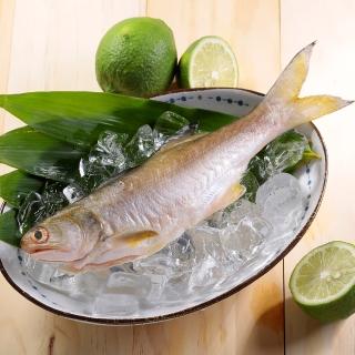 【華得水產】新鮮午仔魚16尾(250-280g/尾)