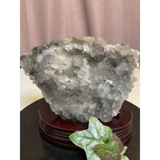 【Cocozy世界水晶原礦】黑線螢石(階梯螢石)